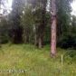 22786 W Diamond Circle, Big Lake, AK 99652 ID:1535581