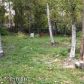 22445 McManus Drive, Chugiak, AK 99567 ID:3135485