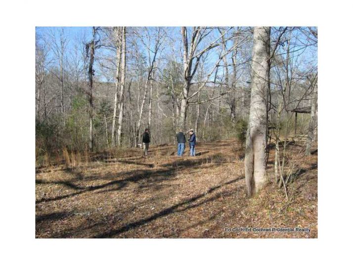 0 285 Acres Fincher Road, Canton, GA 30114