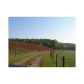 639 Knox Mountain Road, Rockmart, GA 30153 ID:2547839