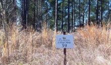 Lot 59 Sec 1 Keowee Sprgs (Apn# 413 Six Mile, SC 29682