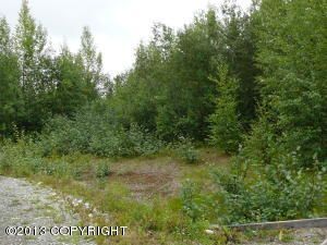 15142 W Crest Drive, Big Lake, AK 99652