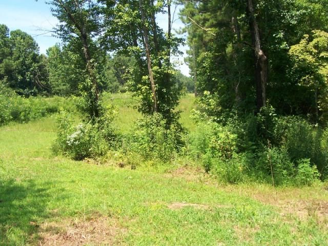 0 Wilburn Ferry Rd #7, Wedowee, AL 36278