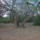 111 Peaceful Lane, Payson, AZ 85541 ID:1932377