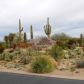 10165 E JOY RANCH Road, Scottsdale, AZ 85262 ID:1454562