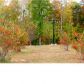 1160 Jones Road, Florence, AL 35633 ID:2210641