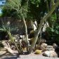 9189 N 119TH Way, Scottsdale, AZ 85259 ID:1649723