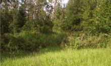 Ruffing Road Dade City, FL 33523