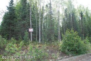 11280 W Benedict Way, Big Lake, AK 99652