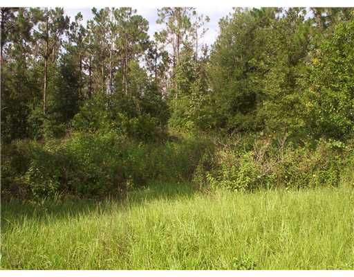 Ruffing Road, Dade City, FL 33523