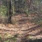 1 Soap Creek Road, Ball Ground, GA 30107 ID:2850025