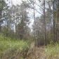 5020 Stateline Road, Bowdon, GA 30108 ID:3132865