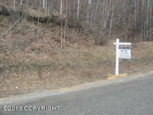 L8 B1 Wildflower Circle, Eagle River, AK 99577