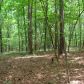 178 Owens Mill Path, Dallas, GA 30132 ID:2565629