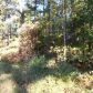 372 Blue Ridge Overlook, Dawsonville, GA 30534 ID:3347508