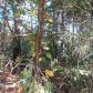 372 Blue Ridge Overlook, Dawsonville, GA 30534 ID:3347512