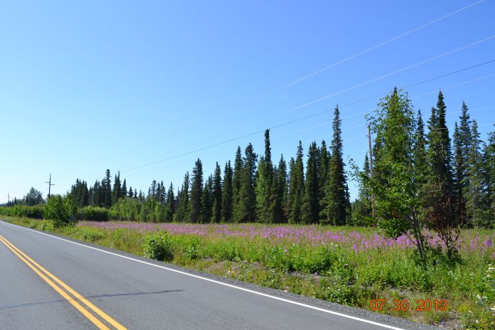 L2-4 Crooked Creek Road, Kasilof, AK 99610