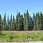 L2-4 Crooked Creek Road, Kasilof, AK 99610 ID:1171108