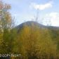 L4A B1 Mountain Road, Chugiak, AK 99567 ID:1493791