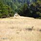 2900 S Highway 1, Elk, CA 95432 ID:3582460