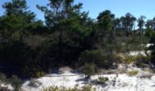 0 Highway 180 Gulf Shores, AL 36542