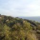 0 Coal Canyon Road, Malibu, CA 90265 ID:1868406