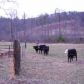 295 Locust Road, Dahlonega, GA 30533 ID:2436915