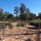 239 N PINON Drive, Payson, AZ 85541 ID:1932468