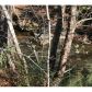 53 Mountain Creek Hollow, Talking Rock, GA 30175 ID:3370090