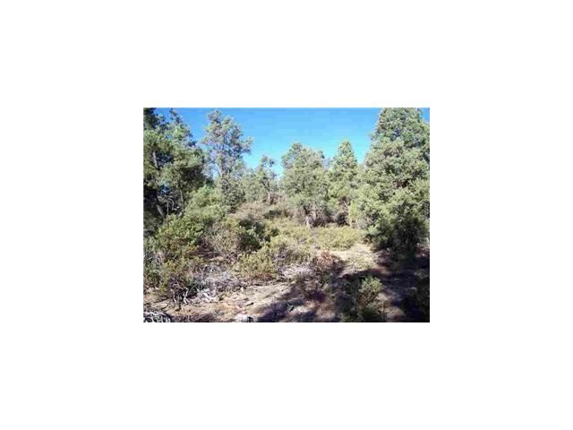 500 S Rim Club Pkwy, Payson, AZ 85541