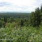 19050 Upper Fish Hatchery Road, Eagle River, AK 99577 ID:1517379