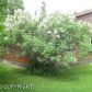 11840 Mary Avenue, Anchorage, AK 99515 ID:2508938