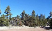 1950 Bear Cave Cr Overgaard, AZ 85933