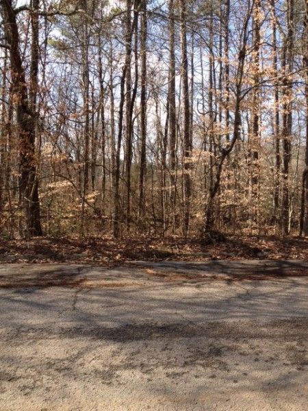 Congress Drive Lot 29, Athens, AL 35613