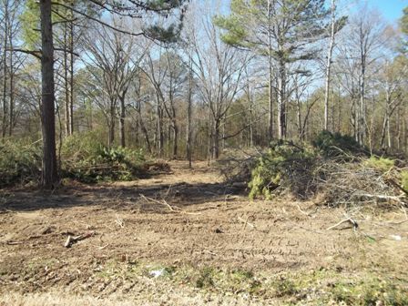 LOT 21 MISSION CIRCLE, Guntersville, AL 35976