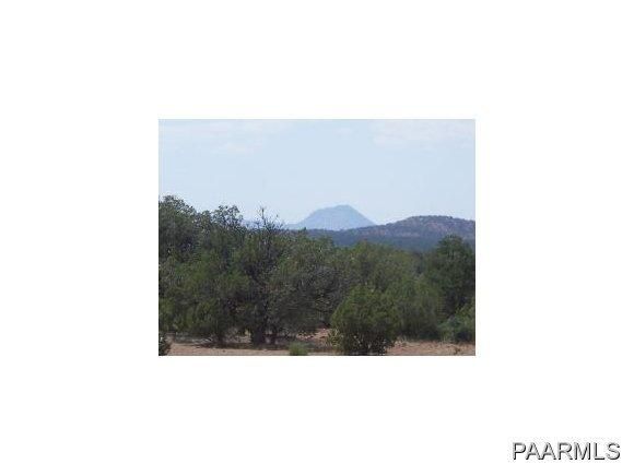 51 Off Of Raney Road, Ash Fork, AZ 86320