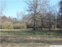 Hwy 331, #44 AC, Columbiana, AL 35051