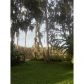 16301 DEW DROP LN, Tampa, FL 33625 ID:3305667