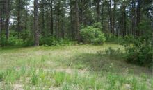 1725 Wild Timber Court Franktown, CO 80116