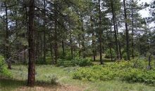 1687 Wild Timber Ct Franktown, CO 80116