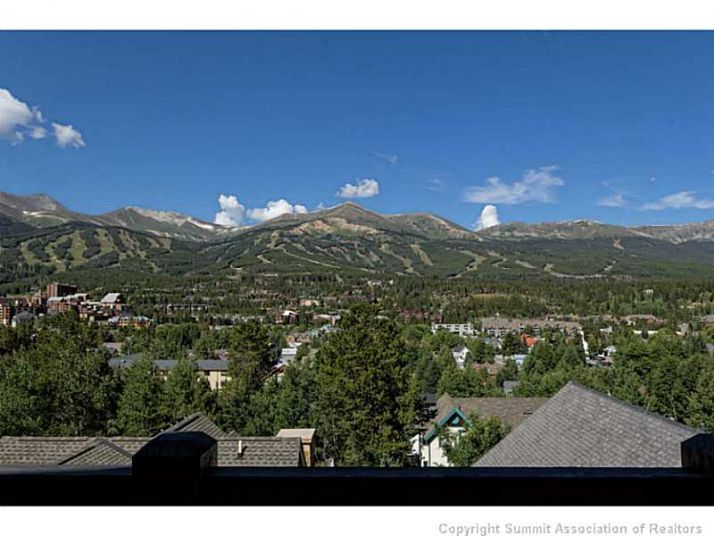 215 S Gold Flake Terr, Breckenridge, CO 80424