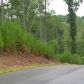 187 Old Jones Mountain Road E, Talking Rock, GA 30175 ID:3508899