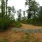 187 Old Jones Mountain Road E, Talking Rock, GA 30175 ID:3508902