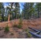 88 Hayes Street, Bailey, CO 80421 ID:1634523