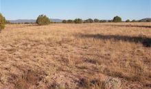 164-B Unnamed Ash Fork, AZ 86320