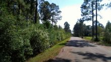 000 Ladda Ct Milton, FL 32583