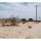 0 Sunflower Drive, Joshua Tree, CA 92252 ID:1132933