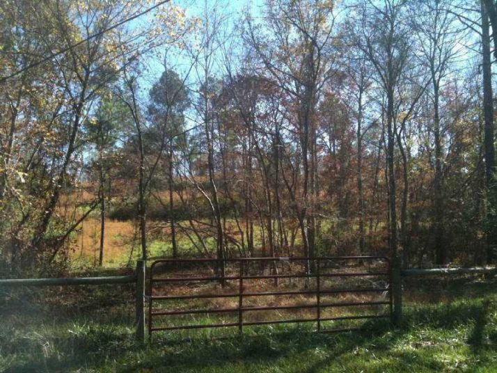 0 Trimble Hollow Road, Adairsville, GA 30103