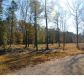 1 COUNTY LINE RD, Ravenel, SC 29470 ID:1905265