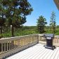 1614 Cinnamon Road, Larkspur, CO 80118 ID:3865262